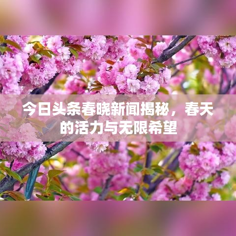 今日頭條春曉新聞揭秘，春天的活力與無(wú)限希望