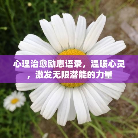 心理治愈勵志語錄，溫暖心靈，激發(fā)無限潛能的力量