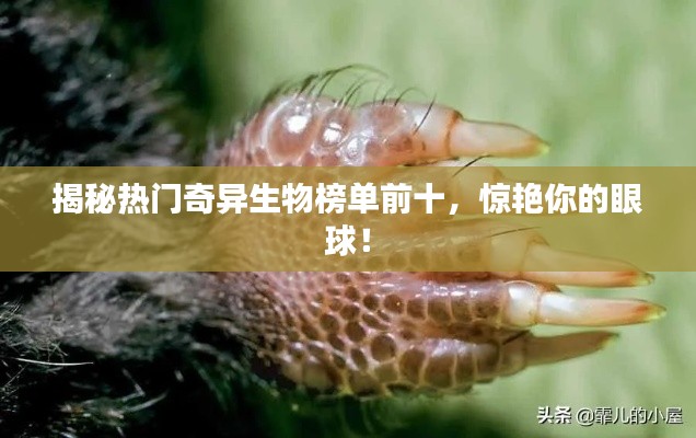 揭秘?zé)衢T(mén)奇異生物榜單前十，驚艷你的眼球！