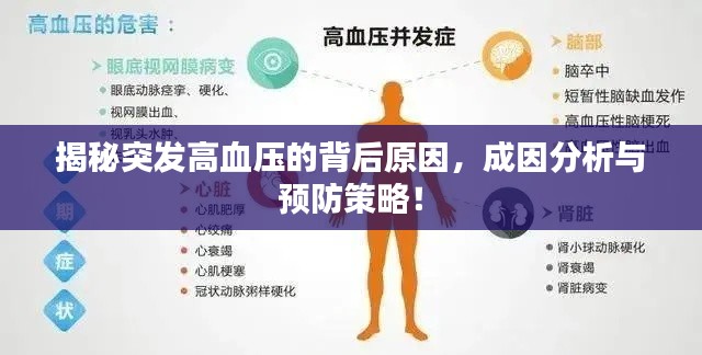 揭秘突發(fā)高血壓的背后原因，成因分析與預(yù)防策略！