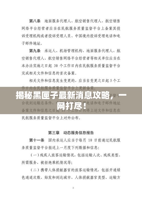 揭秘黑匣子最新消息攻略，一網(wǎng)打盡！