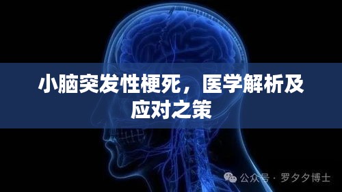 小腦突發(fā)性梗死，醫(yī)學解析及應(yīng)對之策