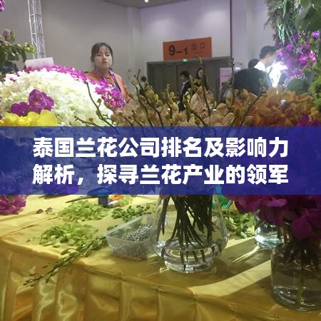 泰國蘭花公司排名及影響力解析，探尋蘭花產業(yè)的領軍者