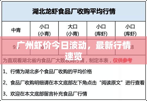 廣州蝦價(jià)今日波動(dòng)，最新行情速覽