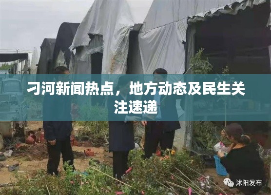 刁河新聞熱點(diǎn)，地方動態(tài)及民生關(guān)注速遞