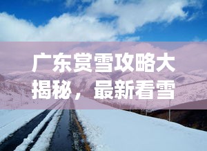廣東賞雪攻略大揭秘，最新看雪好去處