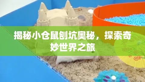 揭秘小倉鼠刨坑奧秘，探索奇妙世界之旅