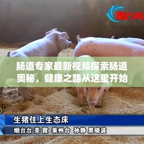 腸道專家最新視頻探索腸道奧秘，健康之路從這里開(kāi)始