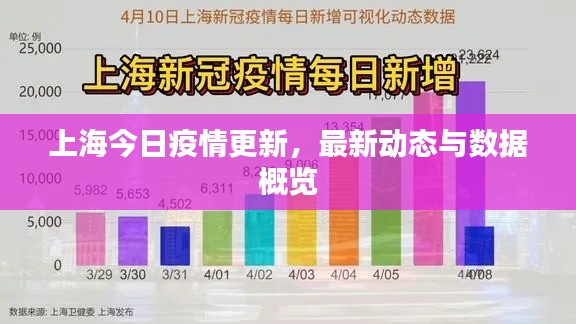 上海今日疫情更新，最新動(dòng)態(tài)與數(shù)據(jù)概覽