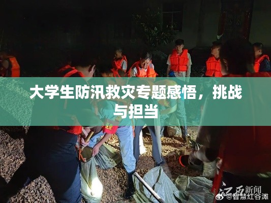大學(xué)生防汛救災(zāi)專題感悟，挑戰(zhàn)與擔(dān)當(dāng)