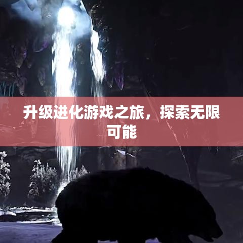 升級(jí)進(jìn)化游戲之旅，探索無限可能