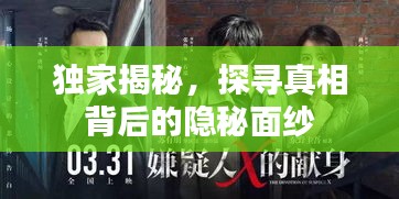 獨(dú)家揭秘，探尋真相背后的隱秘面紗