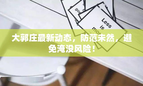 大郭莊最新動態(tài)，防范未然，避免淹沒風(fēng)險！