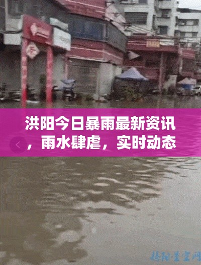 洪陽今日暴雨最新資訊，雨水肆虐，實時動態(tài)關(guān)注！