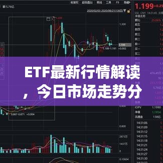 ETF最新行情解讀，今日市場(chǎng)走勢(shì)分析