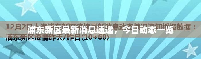 浦東新區(qū)最新消息速遞，今日動態(tài)一覽