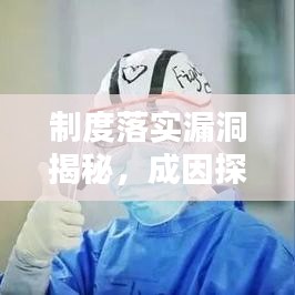 制度落實(shí)漏洞揭秘，成因探究與應(yīng)對(duì)策略之道