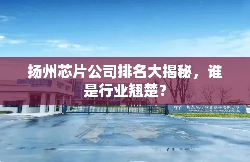 揚州芯片公司排名大揭秘，誰是行業(yè)翹楚？