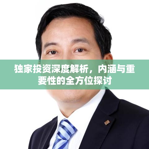 獨(dú)家投資深度解析，內(nèi)涵與重要性的全方位探討