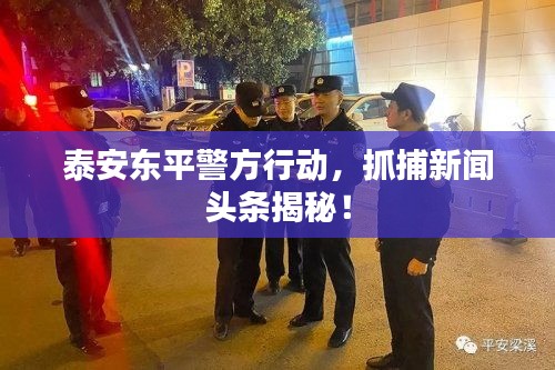 泰安東平警方行動(dòng)，抓捕新聞?lì)^條揭秘！