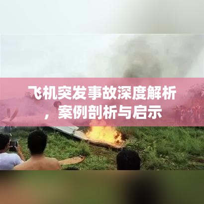 鳥為食亡