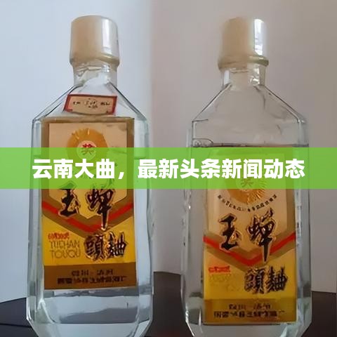 云南大曲，最新頭條新聞動(dòng)態(tài)