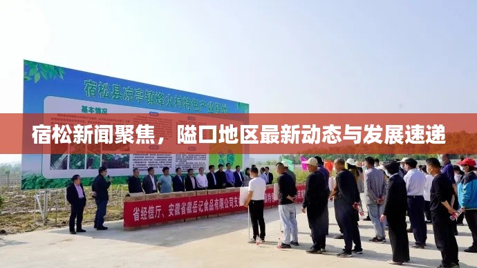 宿松新聞聚焦，隘口地區(qū)最新動態(tài)與發(fā)展速遞