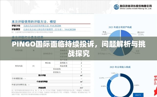 PINGO國(guó)際面臨持續(xù)投訴，問(wèn)題解析與挑戰(zhàn)探究