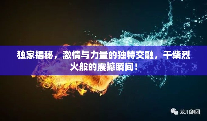 獨家揭秘，激情與力量的獨特交融，干柴烈火般的震撼瞬間！