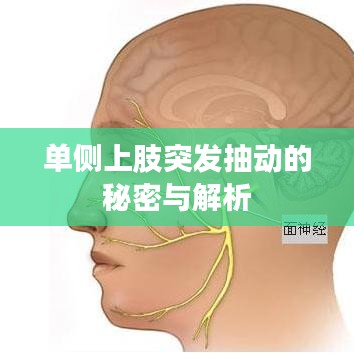 單側(cè)上肢突發(fā)抽動(dòng)的秘密與解析