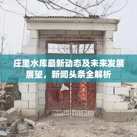 莊里水庫(kù)最新動(dòng)態(tài)及未來(lái)發(fā)展展望，新聞?lì)^條全解析