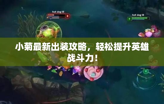 小菊最新出裝攻略，輕松提升英雄戰(zhàn)斗力！