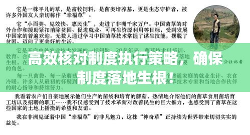 高效核對(duì)制度執(zhí)行策略，確保制度落地生根！
