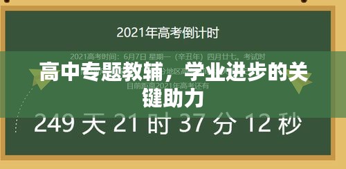 高中專題教輔，學(xué)業(yè)進(jìn)步的關(guān)鍵助力