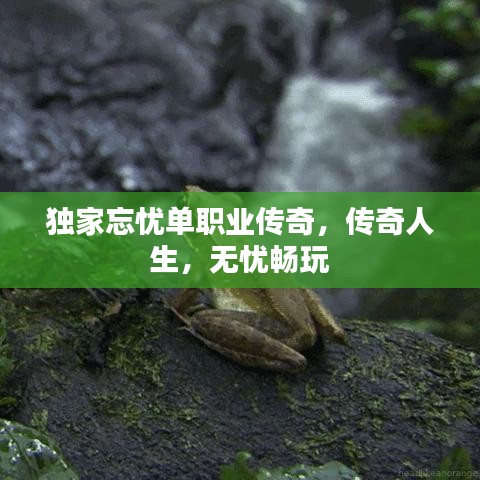 獨(dú)家忘憂(yōu)單職業(yè)傳奇，傳奇人生，無(wú)憂(yōu)暢玩