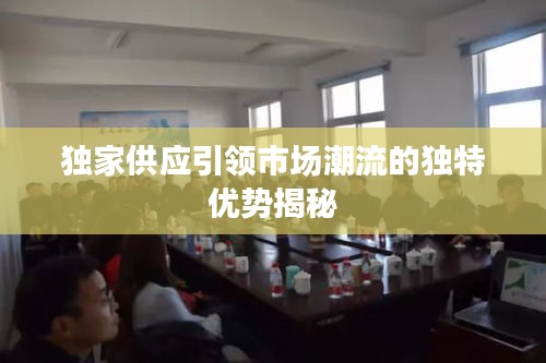 獨家供應(yīng)引領(lǐng)市場潮流的獨特優(yōu)勢揭秘
