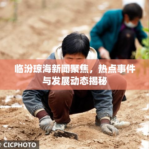 臨汾瓊海新聞聚焦，熱點(diǎn)事件與發(fā)展動(dòng)態(tài)揭秘