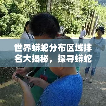 世界蟒蛇分布區(qū)域排名大揭秘，探尋蟒蛇棲息地的奧秘