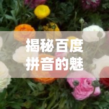 揭秘百度拼音的魅力，一鍵探索全面精準(zhǔn)的拼音查詢