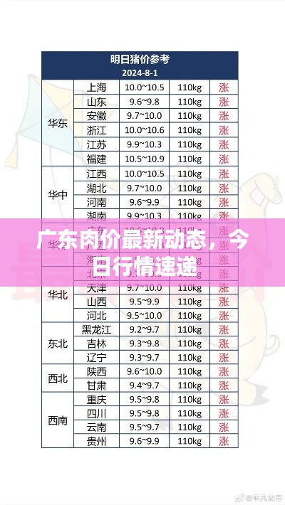 廣東肉價(jià)最新動(dòng)態(tài)，今日行情速遞