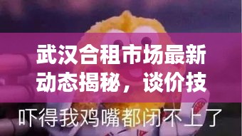 武漢合租市場(chǎng)最新動(dòng)態(tài)揭秘，談價(jià)技巧與租房攻略分享