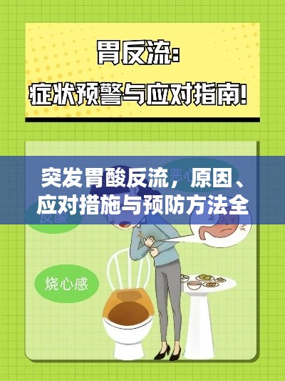 突發(fā)胃酸反流，原因、應(yīng)對(duì)措施與預(yù)防方法全解析