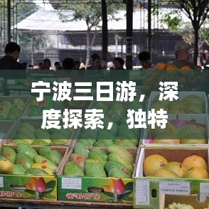 寧波三日游，深度探索，獨(dú)特體驗(yàn)之旅