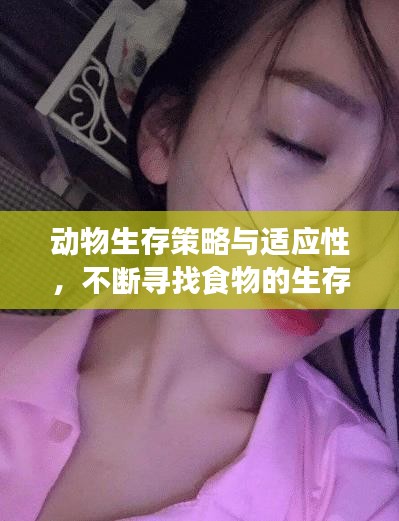 動物生存策略與適應性，不斷尋找食物的生存之道