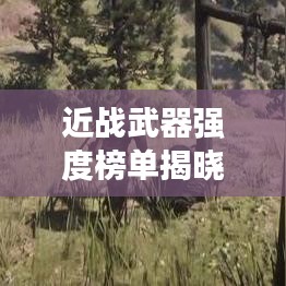 近戰(zhàn)武器強(qiáng)度榜單揭曉，前十名武器實(shí)力比拼！