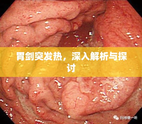 胃劍突發(fā)熱，深入解析與探討