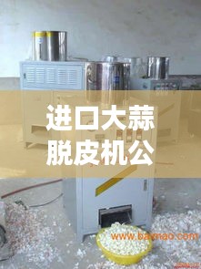 進(jìn)口大蒜脫皮機(jī)公司排行榜揭曉，權(quán)威排名一網(wǎng)打盡！