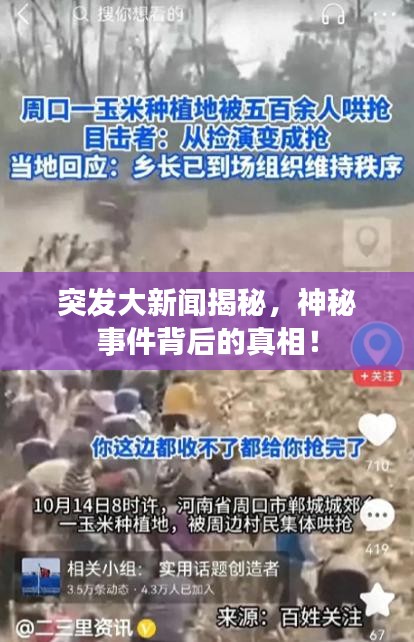 突發(fā)大新聞揭秘，神秘事件背后的真相！