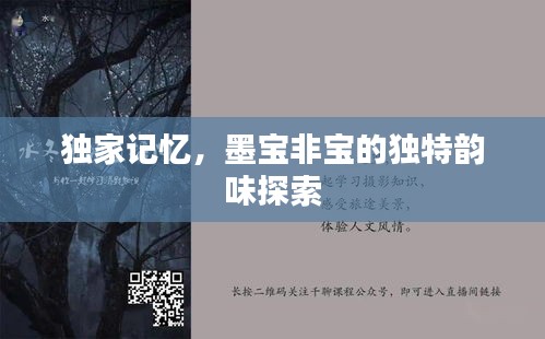 獨(dú)家記憶，墨寶非寶的獨(dú)特韻味探索