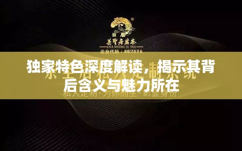 獨家特色深度解讀，揭示其背后含義與魅力所在